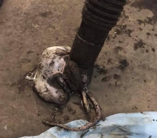 Erdman Plumbing: Service Image-1 Erdman Plumbing: Service Image-1